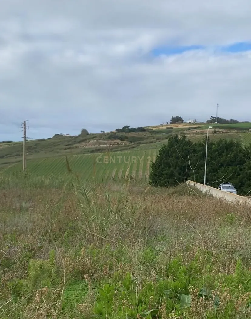 Terreno Urbano na Encarnação Mafra - Image 4